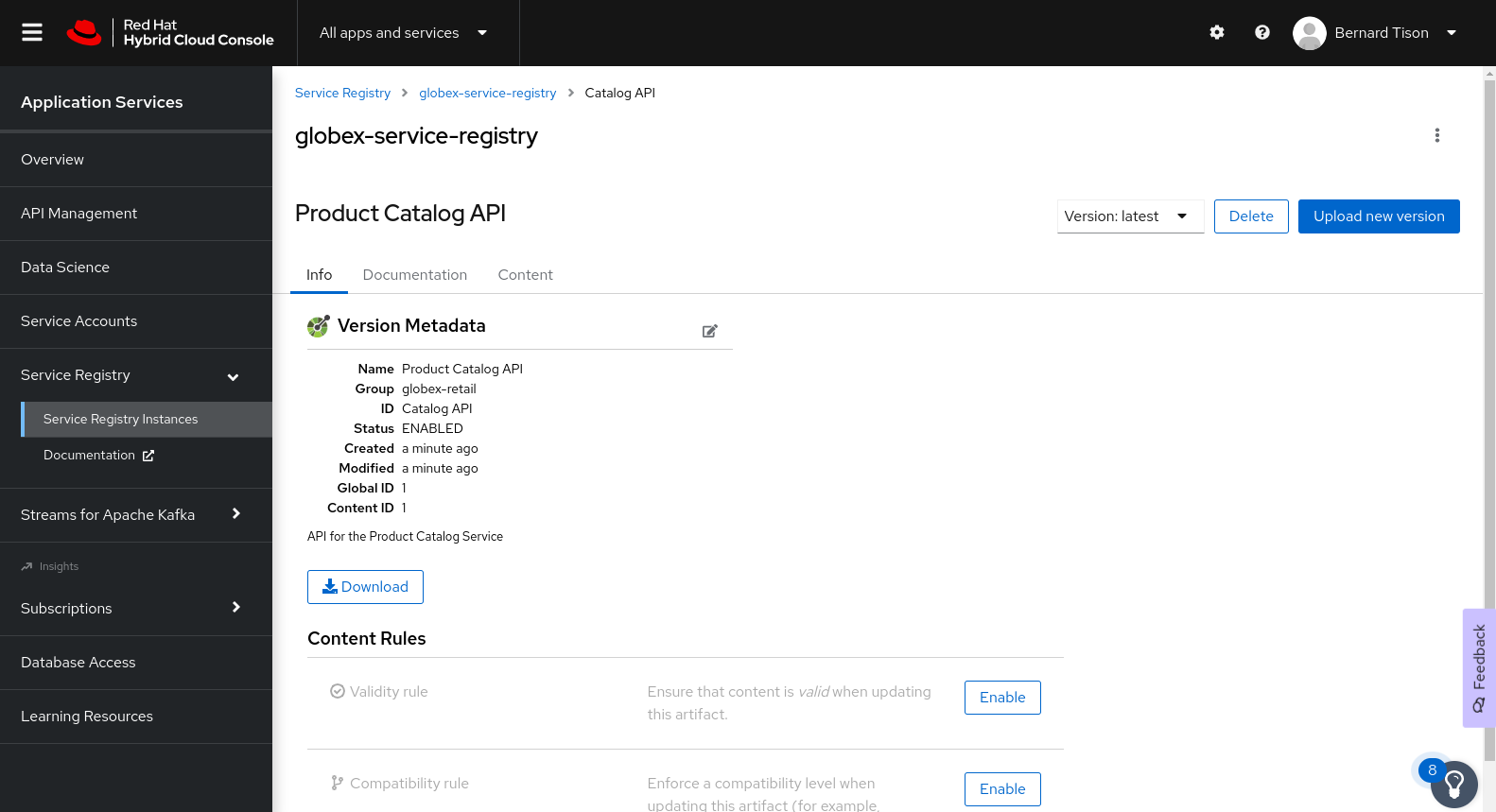 service registry artifact
