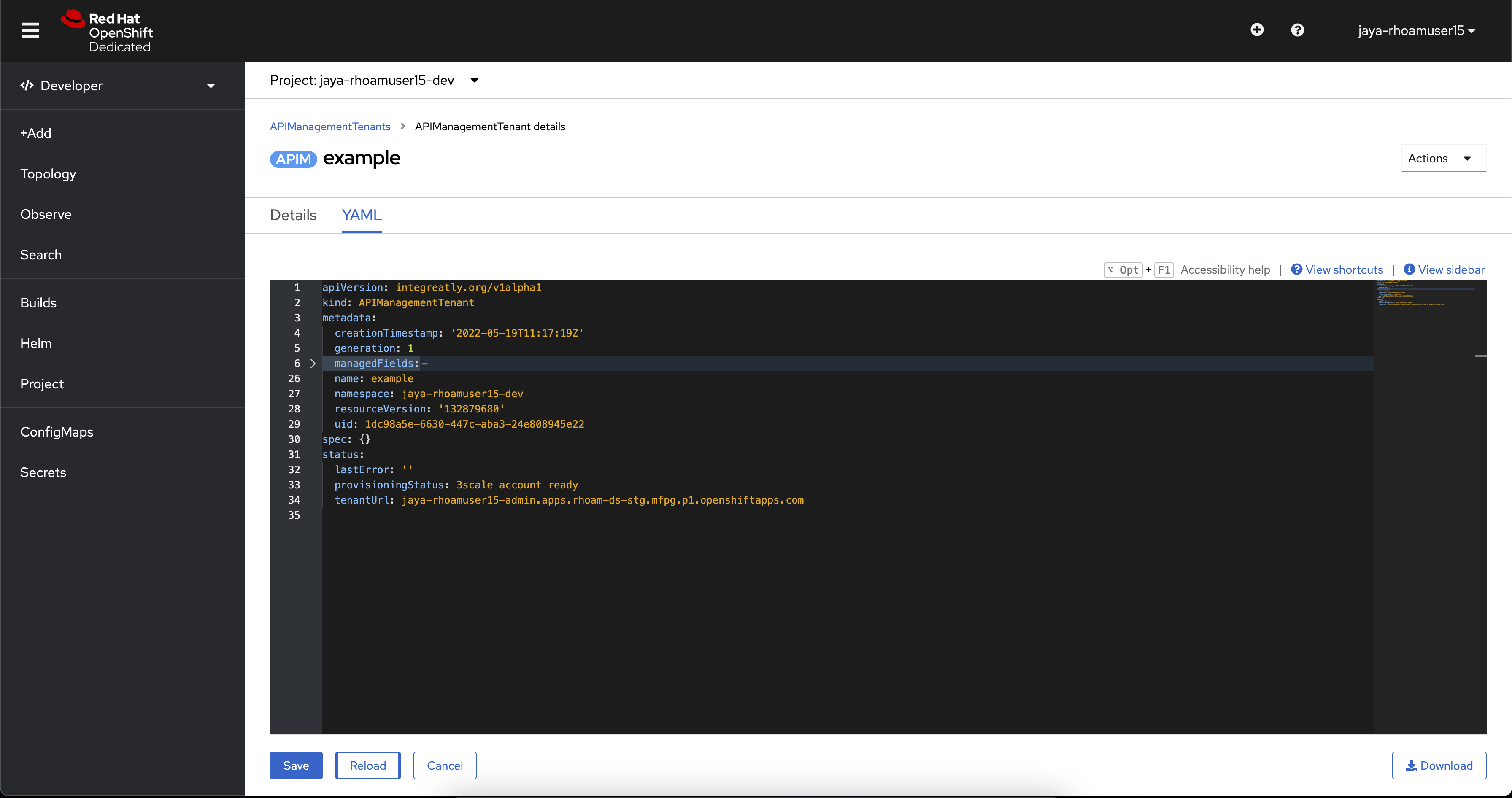 api tenant deployed