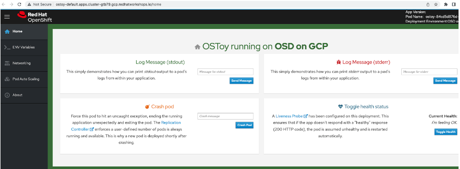 wkshp gcp ostoy