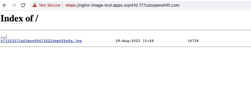 Nginx UI
