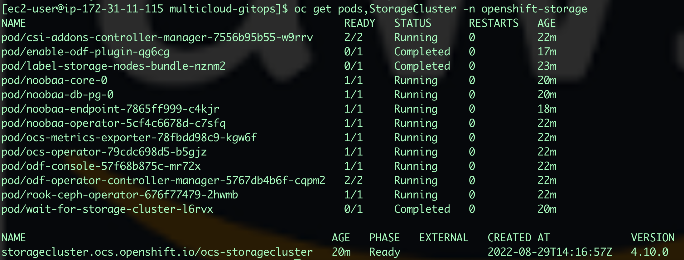 StorageCluster Status